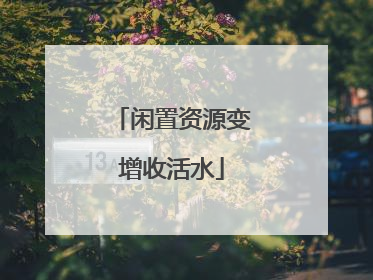 闲置资源变增收活水
