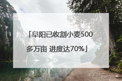 阜阳已收割小麦500多万亩 进度达70%