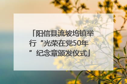 阳信县流坡坞镇举行“光荣在党50年”纪念章颁发仪式