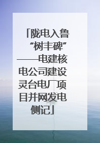 陇电入鲁“树丰碑”——电建核电公司建设灵台电厂项目并网发电侧记