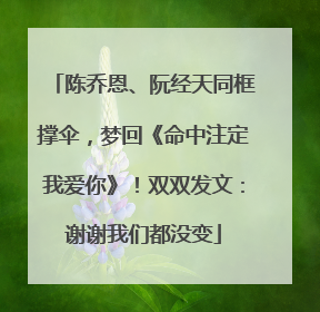 陈乔恩、阮经天同框撑伞，梦回《命中注定我爱你》！双双发文：谢谢我们都没变
