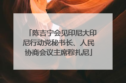 陈吉宁会见印尼大印尼行动党秘书长、人民协商会议主席穆扎尼