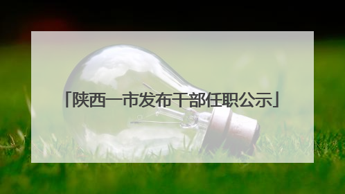陕西一市发布干部任职公示