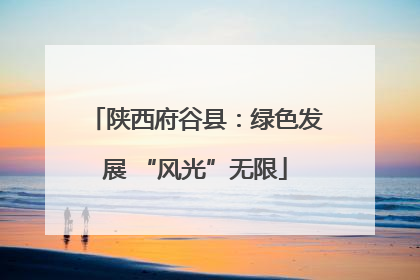 陕西府谷县：绿色发展 “风光”无限
