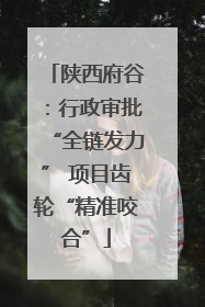 陕西府谷：行政审批“全链发力” 项目齿轮“精准咬合”