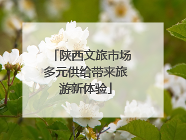 陕西文旅市场多元供给带来旅游新体验