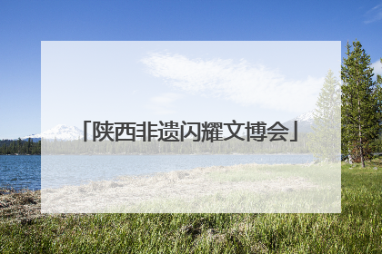 陕西非遗闪耀文博会