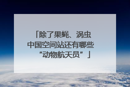 除了果蝇、涡虫 中国空间站还有哪些“动物航天员”