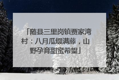 随县三里岗镇贾家湾村：八月瓜缀满藤，山野孕育甜蜜希望