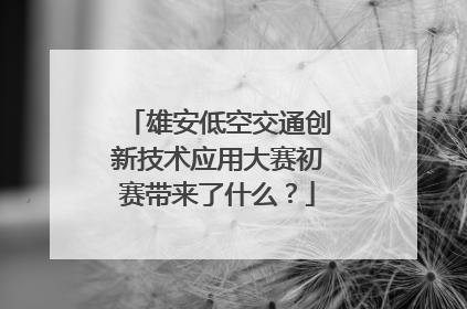 雄安低空交通创新技术应用大赛初赛带来了什么？