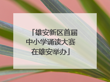 雄安新区首届中小学诵读大赛在雄安举办