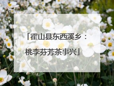 霍山县东西溪乡：桃李芬芳茶事兴