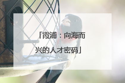 霞浦：向海而兴的人才密码