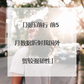 顶压前行 前5月数据折射我国外贸较强韧性