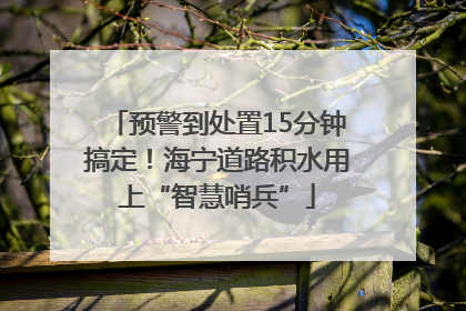 预警到处置15分钟搞定！海宁道路积水用上“智慧哨兵”