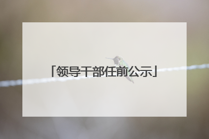 领导干部任前公示