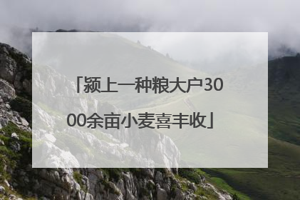 颍上一种粮大户3000余亩小麦喜丰收