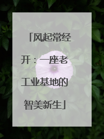 风起常经开：一座老工业基地的智美新生