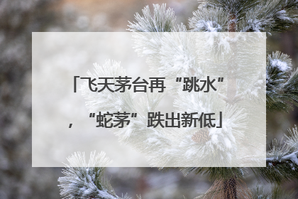 飞天茅台再“跳水”，“蛇茅”跌出新低