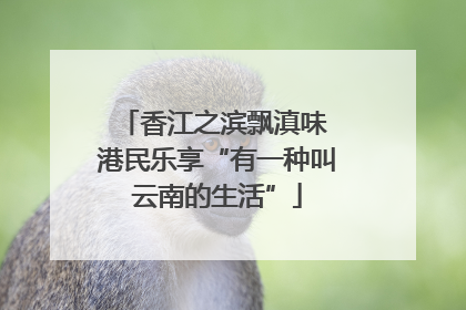 香江之滨飘滇味 港民乐享“有一种叫云南的生活”