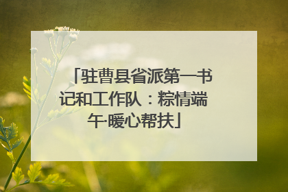 驻曹县省派第一书记和工作队：粽情端午·暖心帮扶