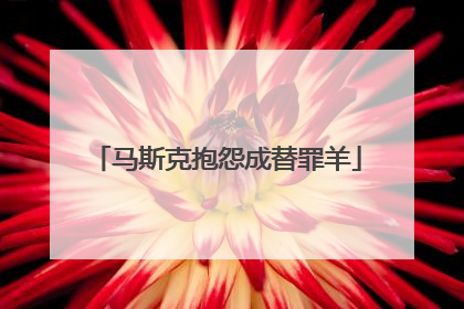 马斯克抱怨成替罪羊