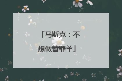 马斯克：不想做替罪羊
