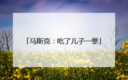 马斯克：吃了儿子一拳