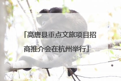 高唐县重点文旅项目招商推介会在杭州举行