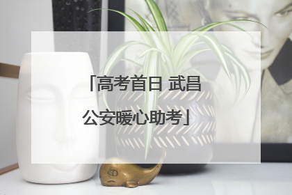 高考首日 武昌公安暖心助考