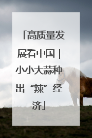 高质量发展看中国｜小小大蒜种出“辣”经济