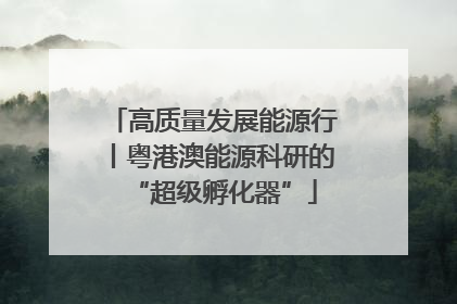 高质量发展能源行丨粤港澳能源科研的“超级孵化器”