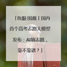 鱼眼·围观丨国内首个高考志愿大模型发布：AI填志愿，靠不靠谱？