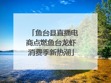 鱼台县直播电商点燃鱼台龙虾消费季新热潮