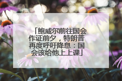 鲍威尔前往国会作证前夕，特朗普再度呼吁降息：国会该给他上上课