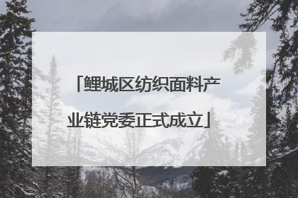鲤城区纺织面料产业链党委正式成立