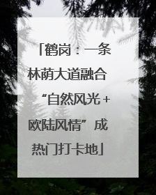 鹤岗：一条林荫大道融合“自然风光＋欧陆风情”成热门打卡地