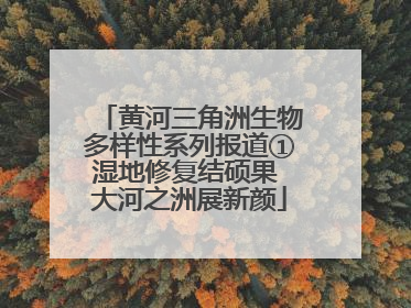黄河三角洲生物多样性系列报道①湿地修复结硕果 大河之洲展新颜