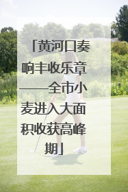 黄河口奏响丰收乐章——全市小麦进入大面积收获高峰期