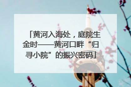 黄河入海处，庭院生金时——黄河口畔“归寻小院”的振兴密码
