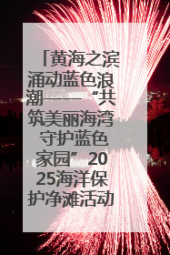 黄海之滨涌动蓝色浪潮——“共筑美丽海湾 守护蓝色家园”2025海洋保护净滩活动暨“美丽江苏—江河湖海青蓝行”海洋篇在连云港举行