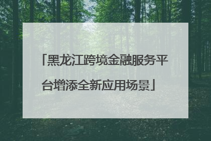 黑龙江跨境金融服务平台增添全新应用场景
