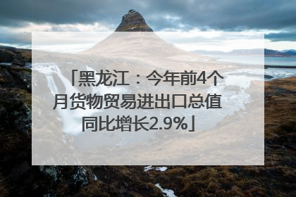 黑龙江：今年前4个月货物贸易进出口总值同比增长2.9%