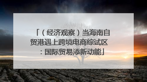 （经济观察）当海南自贸港遇上跨境电商综试区：国际贸易添新动能