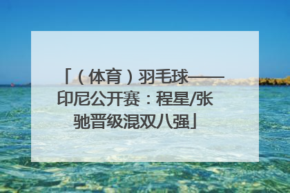 （体育）羽毛球——印尼公开赛：程星/张驰晋级混双八强