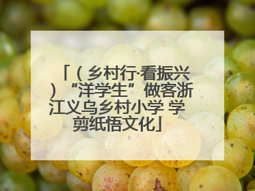 (乡村行·看振兴)“洋学生”做客浙江义乌乡村小学 学剪纸悟文化