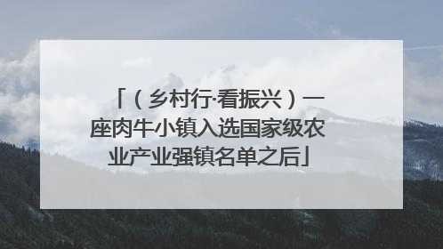 （乡村行·看振兴）一座肉牛小镇入选国家级农业产业强镇名单之后