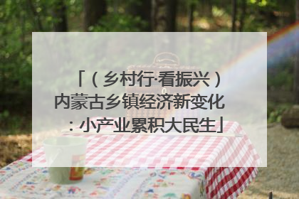 （乡村行·看振兴）内蒙古乡镇经济新变化：小产业累积大民生