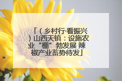 （乡村行·看振兴）山西天镇：设施农业“棚”勃发展 辣椒产业蓄势待发