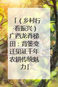 （乡村行·看振兴）广西龙脊梯田：背篓变迁见证千年农耕传统魅力